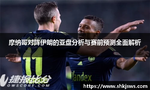 伟德bv国际体育