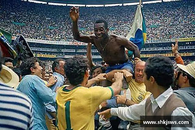 关于bevictor伟德